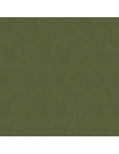 Pintura Automotriz R&E Verde Ecológico Metálico Chrysler PGX, JGX 2