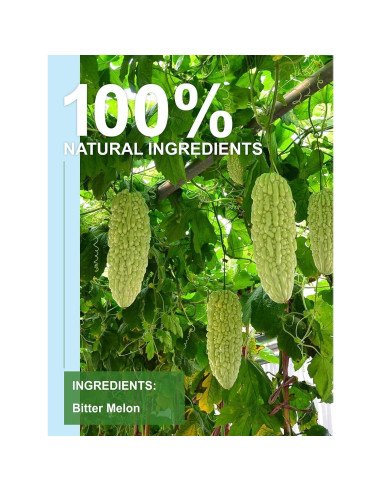 Té de Melón Amargo TeeLux, 100 Unidades, Sin Cafeína