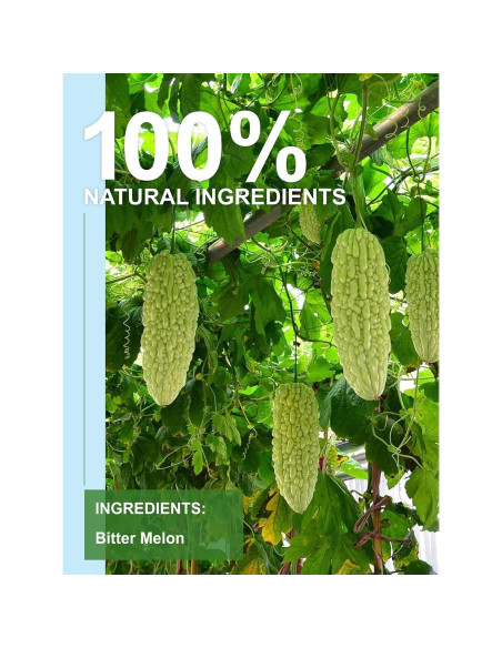 Té de Melón Amargo TeeLux, 100 Unidades, Sin Cafeína