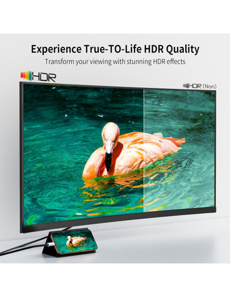 Cable USB C a HDMI 2m 4K@60Hz Belcompany - Compatible con iPhone y Mac