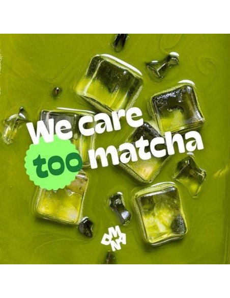 Polvo de Té Verde Orgánico Matcha DNA 340 g Bolsa
