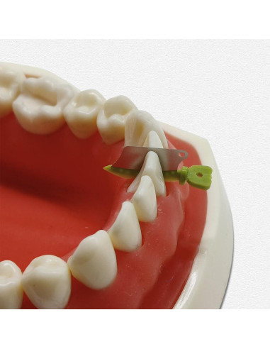 30 Piezas Protector Interproximal Dental Prime con Cuchillo