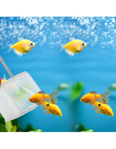 Red de Pescado para Acuario SynHHergyx, 2 Pcs, Malla Fina