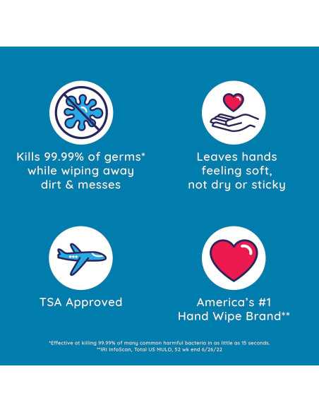 Toallitas Antibacteriales Wet Ones Aroma Fresco 200 Unidades