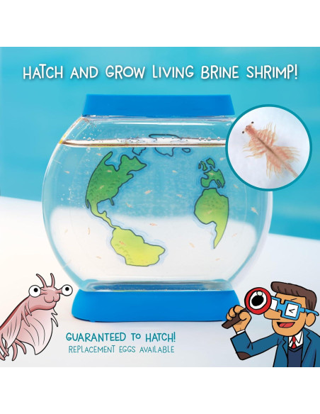 Acuario de Camarones de Sal Thames & Kosmos - Kit STEM 6+