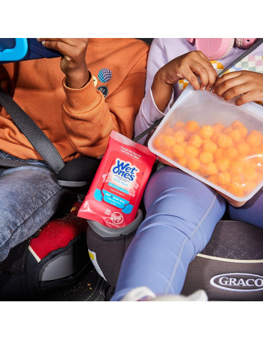 Toallitas Antibacteriales Wet Ones Aroma Fresco 200 Unidades