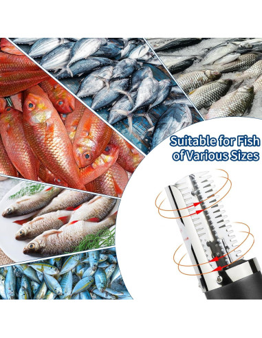 Escalador de Pescado Eléctrico JUSTHERE EFS-0623 Inoxidable