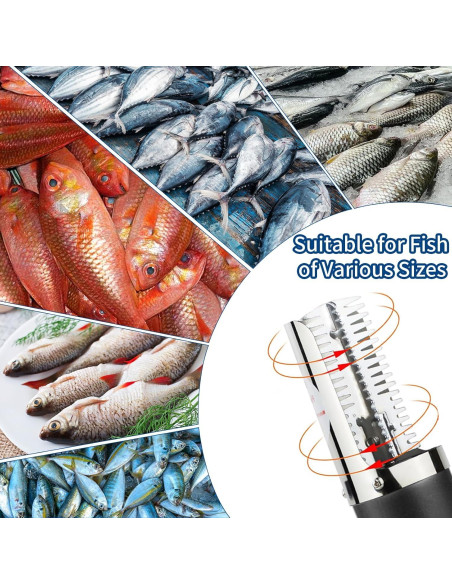 Escalador de Pescado Eléctrico JUSTHERE EFS-0623 Inoxidable