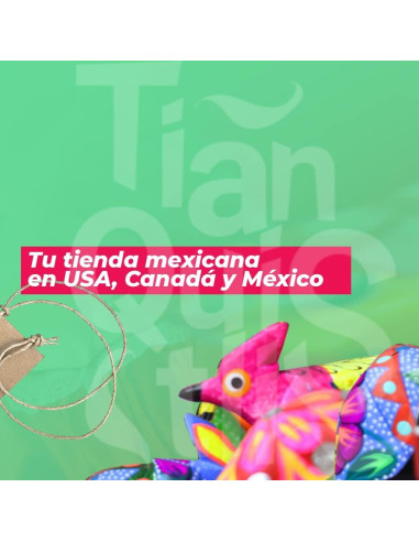 Calentador de Tortillas Armengol Grande Aislado 4 Piezas Púrpura