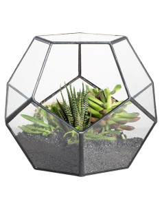 Terrario Geométrico de Vidrio NCYP 17.5x17.5x15 cm Negro