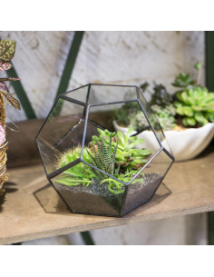 Terrario Geométrico de Vidrio NCYP 17.5x17.5x15 cm Negro 2