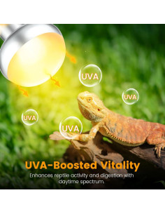Paquete de 2 Bombillas de Calor 100W REPTITRIP para Reptiles 2