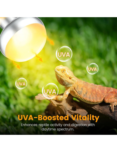 Paquete de 2 Bombillas de Calor 100W REPTITRIP para Reptiles