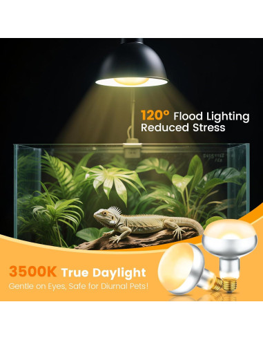 Paquete de 2 Bombillas de Calor 100W REPTITRIP para Reptiles