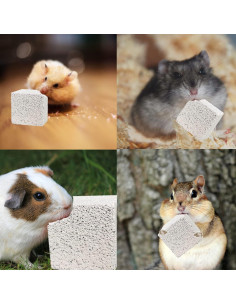 Piedras de Molienda para Dientes de Conejo Kathson 15 Pcs 2