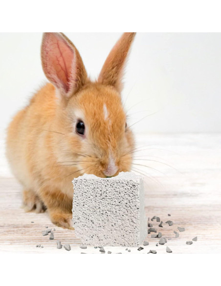 Piedras de Molienda para Dientes de Conejo Kathson 15 Pcs