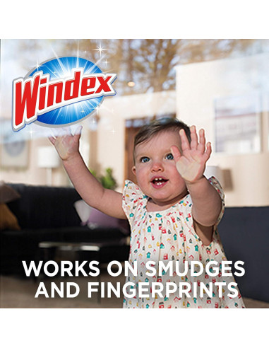 Toallitas Windex Sin Amoníaco 25 Unidades para Vidrios