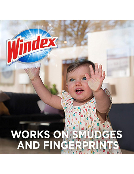 Toallitas Windex Sin Amoníaco 25 Unidades para Vidrios