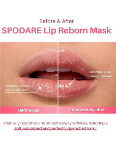 Mascarilla Labial Nocturna SPODARE Manzana Verde 12.42 ml 2