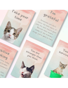 Tarjetas de Afirmaciones Catchyourdreams para Gatos - 50 Unidades 2