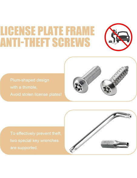 Kit de Tornillos Antirrobo para Placas de Matrícula Tesnaao 43 PCS