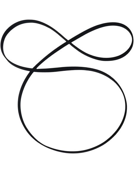 Correa de Reemplazo para Tocadiscos Pioneer PL-203AZ PL-335 PL-340 PL-750 PL-910 PL-1150 Sam&Johnny