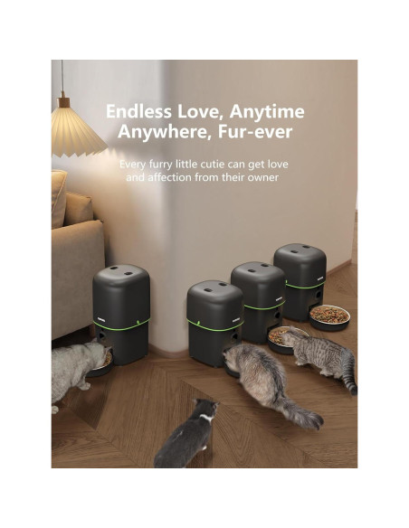 Comedero Automático para Gatos Yuposl 2L con Cámara HD y WiFi