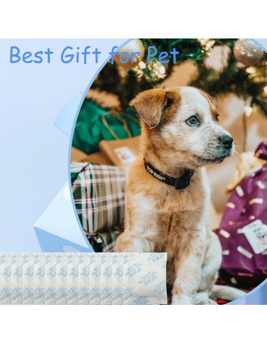 Paquete de 6 Bolsas Deshidratantes PETLIBRO para Comederos