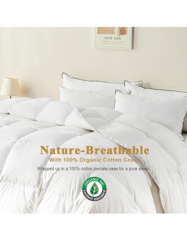 Edredón de Plumas Orgánico TOPGREEN King 269x229 cm Blanco