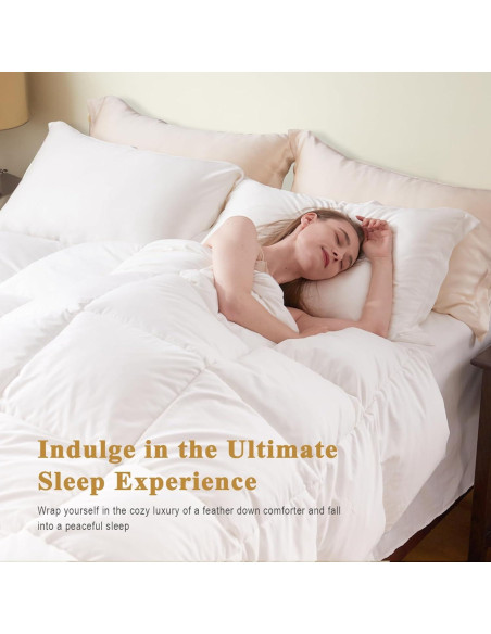 Edredón de Plumas Orgánico TOPGREEN King 269x229 cm Blanco