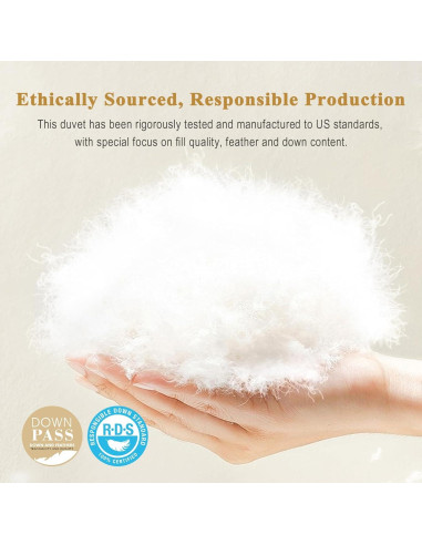 Edredón de Plumas Orgánico TOPGREEN King 269x229 cm Blanco