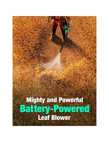 Aspiradora de Hojas KIMO Inalámbrica 4 en 1 20000RPM