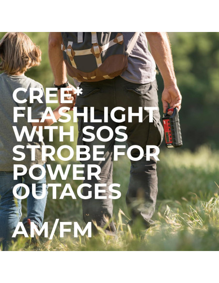 Radio Meteorológica de Emergencia Midland ER310 - SOS, Linterna