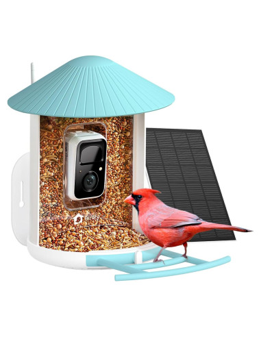 Comedero Inteligente NETVUE Birdfy con Cámara 1080P Azul