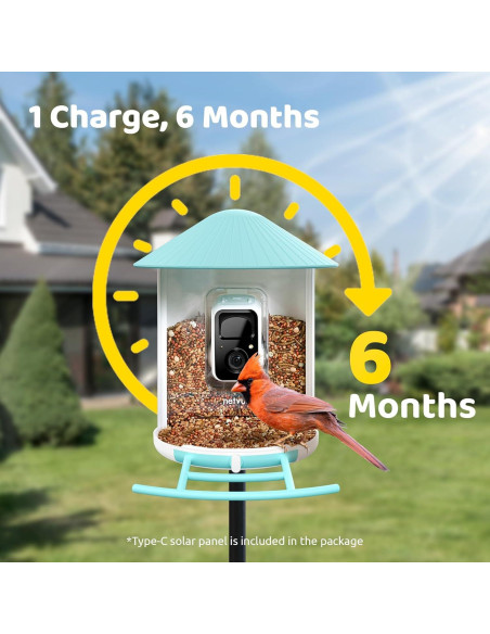 Comedero Inteligente NETVUE Birdfy con Cámara 1080P Azul