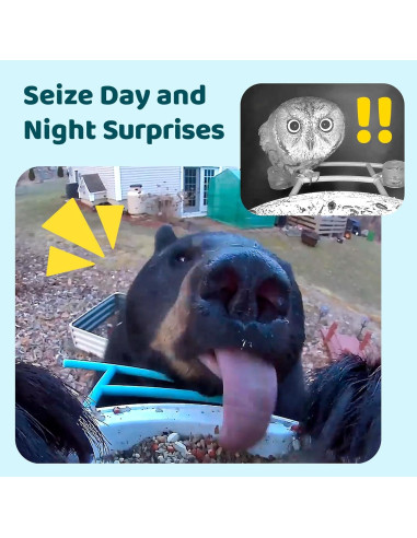 Comedero Inteligente NETVUE Birdfy con Cámara 1080P Azul