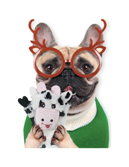 Juguetes para Perros SHARLOVY 5 Pack Crinkle Sin Relleno