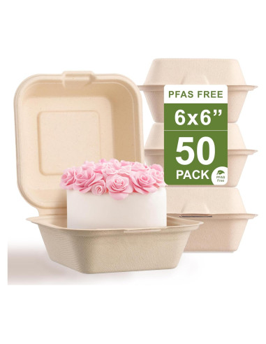 50 Contenedores Cuadrados Compostables Harvest Pack 15.24 cm