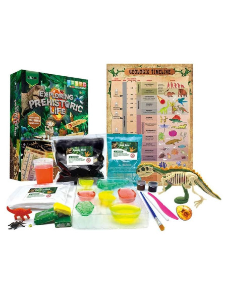 Kit de Dinosaurio STEM Xinxiang 29x22 cm para Niños 8+