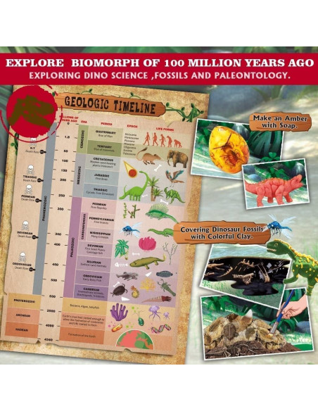 Kit de Dinosaurio STEM Xinxiang 29x22 cm para Niños 8+