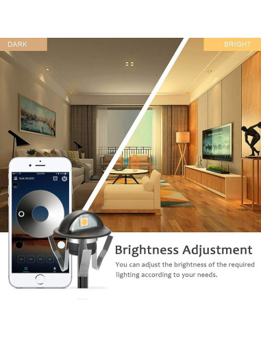 FVTLED Luces LED Empotradas 20pcs 12V Control WiFi Negro