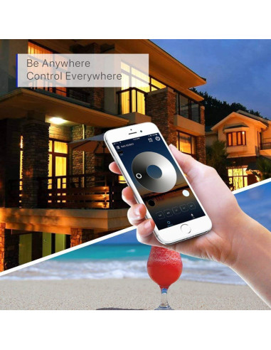 FVTLED Luces LED Empotradas 20pcs 12V Control WiFi Negro