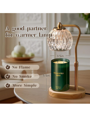 Vela Aromática Goodpick Eucalipto y Menta 22oz 120 Horas