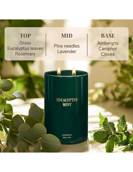 Vela Aromática Goodpick Eucalipto y Menta 22oz 120 Horas