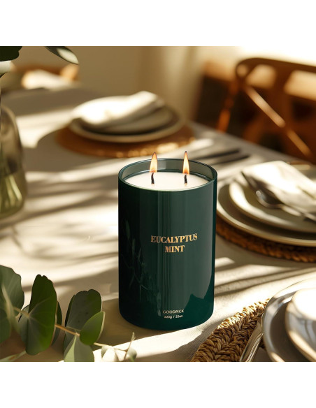 Vela Aromática Goodpick Eucalipto y Menta 22oz 120 Horas