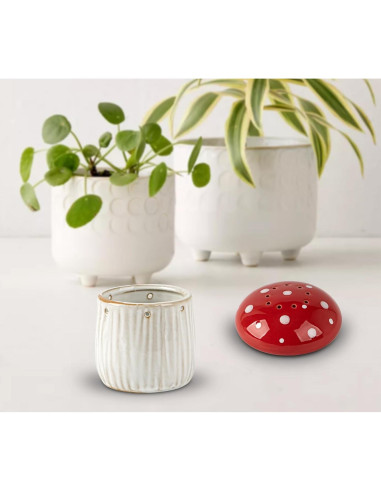 Soporte de Bicarbonato de Sodio Hongo Cerámica Refrigerador