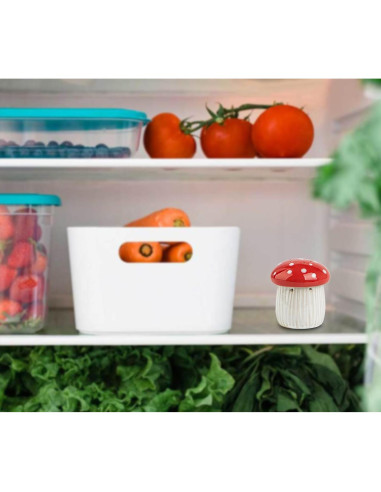 Soporte de Bicarbonato de Sodio Hongo Cerámica Refrigerador