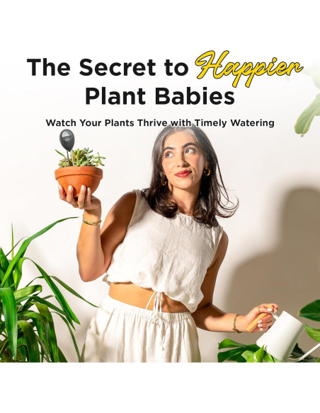 Medidor de Humedad del Suelo 3-en-1 Classy Casita - Negro