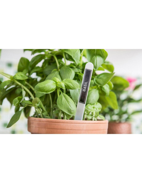 Etiquetadora Inalámbrica Brother P-Touch Cube Blanco 12mm