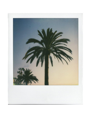 Cámara Polaroid 600 Square Negra One Step PRD541